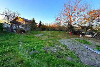 Casa solida de vanzare in Bordenii Mari - 19