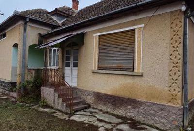 Casă cu 3 camere cu Teren 2500 Mp în Vetiș - 3