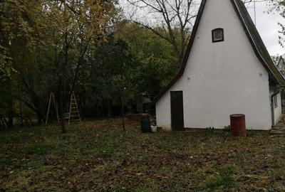 Vand casa de vacanta - 3