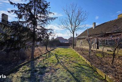 Casă cu 3 camere cu Teren 4041 Mp în Roșiori - 6