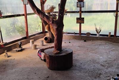 Casă cu 5 camere cu Teren 1238 Mp în Florica - 10