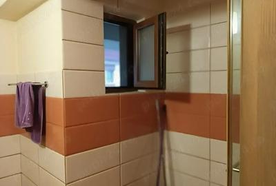 De vanzare apartament 2 camere zona Vivo - 9