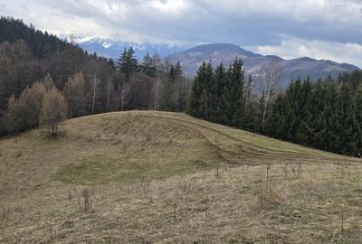 Teren Construcții intravilan de 3040 mp, în Bran - 7
