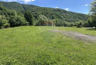 Teren de 1340 mp, în Cuejdiu - 2