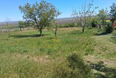 Casă cu 4 camere cu Teren 3400 Mp în Central - 3