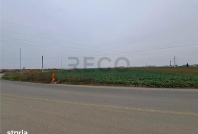 Teren de 6657 mp, în Tăut - 2