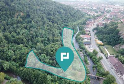 Teren Construcții intravilan de 13861 mp, în Est - 2