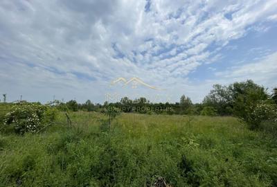 Teren intravilan***1439 mp***Cretesti-Vidra-Ilfov - 14