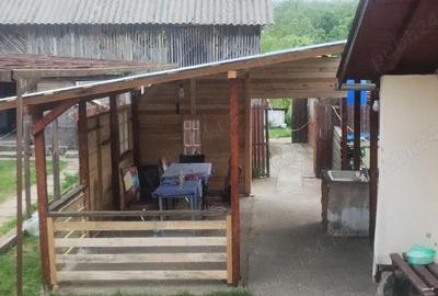 Casă cu 3 camere cu Teren 2900 Mp în Lunca - 8