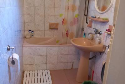 Casă cu 2 camere în Bichiș - 6