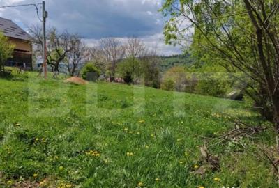 Teren de 1865 mp, în Moieciu - 8