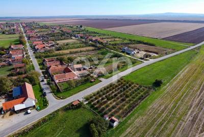 Teren Construcții intravilan de 1191 mp, în Sârbova - 2