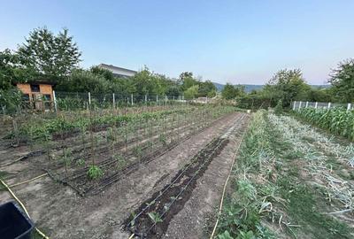 Spațiu comercial, în Vălenii de Munte - 6