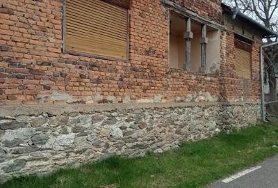 Casă cu 4 camere cu Teren 2885 Mp în Criștioru de Jos - 6