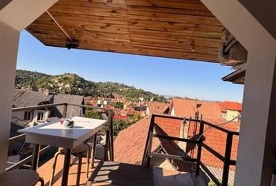 Studio deschis si la regim hotelier, priveliste frumoasa, pet friendly, loc parc - 3