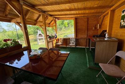 Casă cu Teren 1000 Mp în Vulcana de Sus - 4