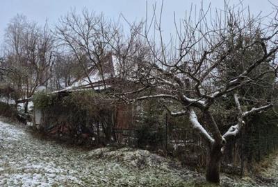 Coas, cabana, 28 ari teren - 4