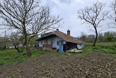 Casă cu 2 camere în Mateieni - 3