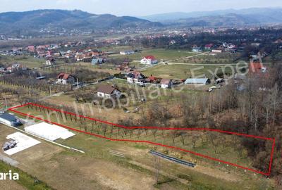 Teren de 2172 mp, în Albești - 7