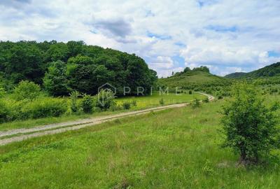 Teren Construcții intravilan de 11600 mp, în Corunca - 4