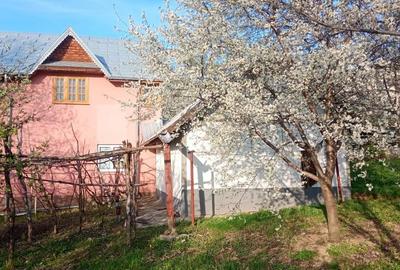 Casă cu 3 camere în Dancu - 8