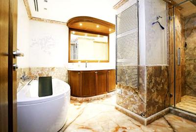 Apartament cu 3 camere semidecomandat, mobilat în P-ța Victoriei - 12