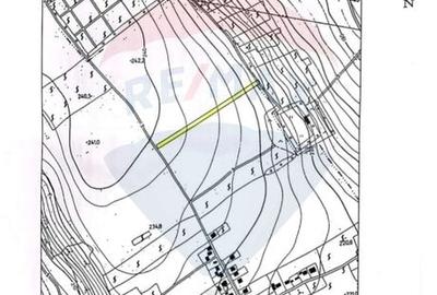Teren agricol extravilan de 2475 mp, în Măgura - 5