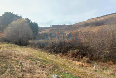 Teren Construcții extravilan de 2400 mp, în Săvădisla - 4