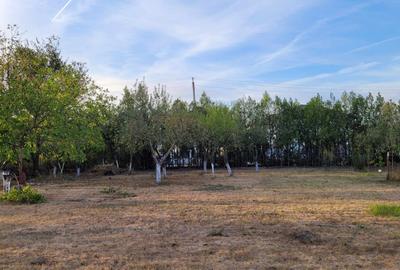 REL4000842 De vanzare teren intravilan 1000 mp. Corbeanca - 3