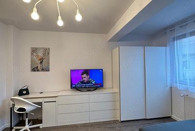 Proprietar Inchiriez apartament cu o camera, cu centrala proprie - 4