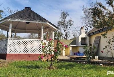 Casă cu 3 camere cu Teren 3052 Mp în Crivobara - 5