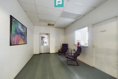 Spațiu industrial, de 6,879 mp, în Sânleani - 9