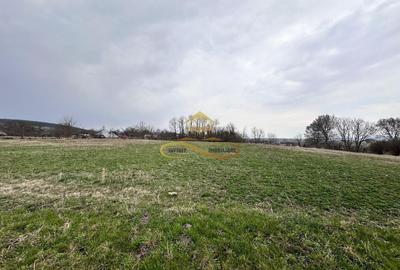 Teren Construcții intravilan de 11021 mp, în Blăgești - 6