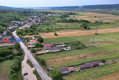 AZURA Imobiliare - Teren Budeasa Galasesti Calotesti - 5