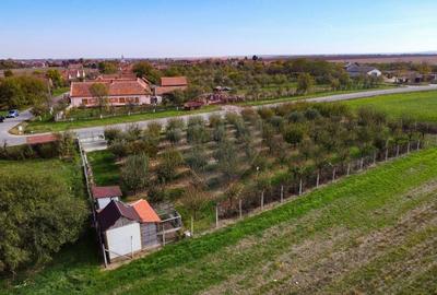 De vanzare teren cu livada in Sarbova! - 3