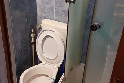 Apartament semidecomandat în Rulmentul - 3