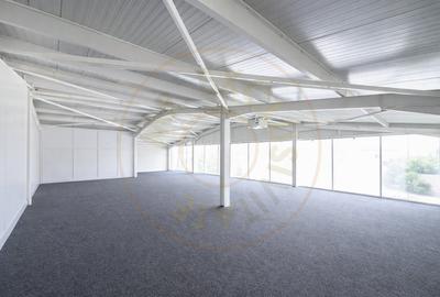 Spațiu industrial, de 598 mp, în Bradu - 10