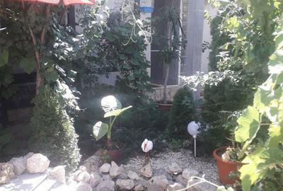 Casă cu 3 camere în Lumina - 14