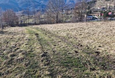 Teren intravilan de 3333 mp, în Rucăr - 2