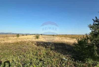 Teren extravilan de vanzare - 19.963 mp, E68 Mandruloc-Vladimirescu - 7