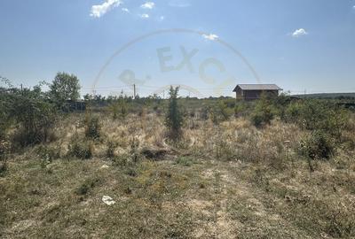 Teren Intravilan Magic Trivale - Aleea Bradului  1040 mp - 1