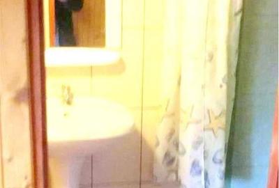 Casă cu 5 camere în Buziașului - 5