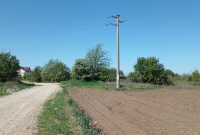 Teren Construcții extravilan de 4881 mp, în Corbeanca Teren Construcții extravilan de 4881 mp, în Corbeanca - 5