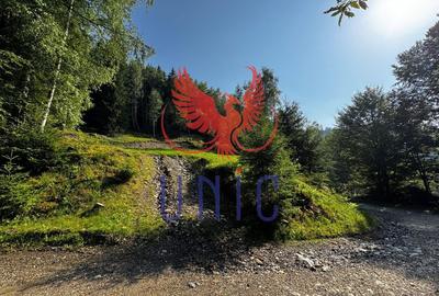 18000 mp de natura pura ,Lupeni, langa Straja - 10