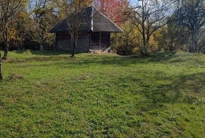 Teren de 10200 mp, în Costești - 4