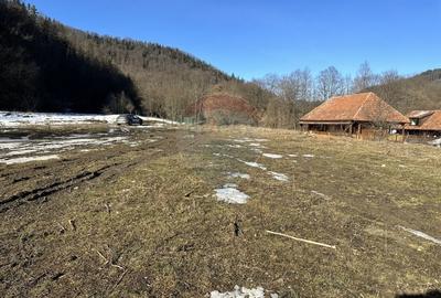 Teren Construcții intravilan de 1340 mp, în Cuejdiu - 3