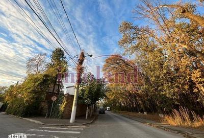 Spațiu comercial, în Colentina - 1