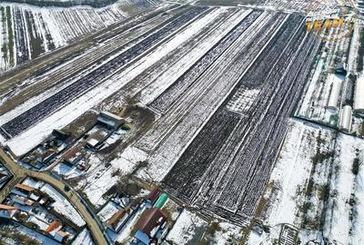 Lot construibil 6.425 mp,Dobolii de Jos, oportun:proiecte rezidentiale amplasame - 7