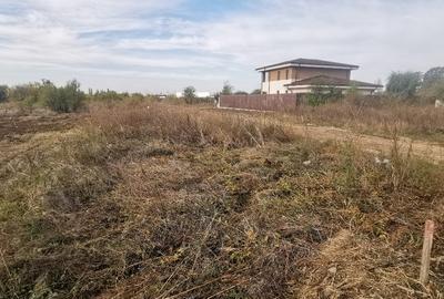 Vand teren Drumul Sarmas nr. 76/78 1180mp+200 mp drum servitute 240euro mp - 5