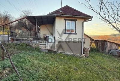 Casă cu 2 camere cu Teren 3200 Mp în Borșa - 1